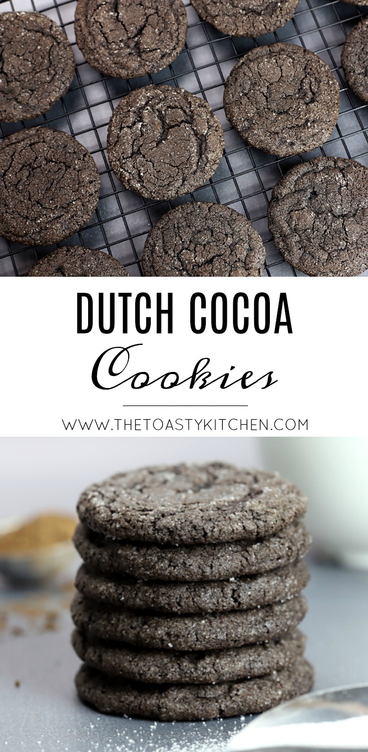 Dutch Cocoa Cookies by The Toasty Kitchen