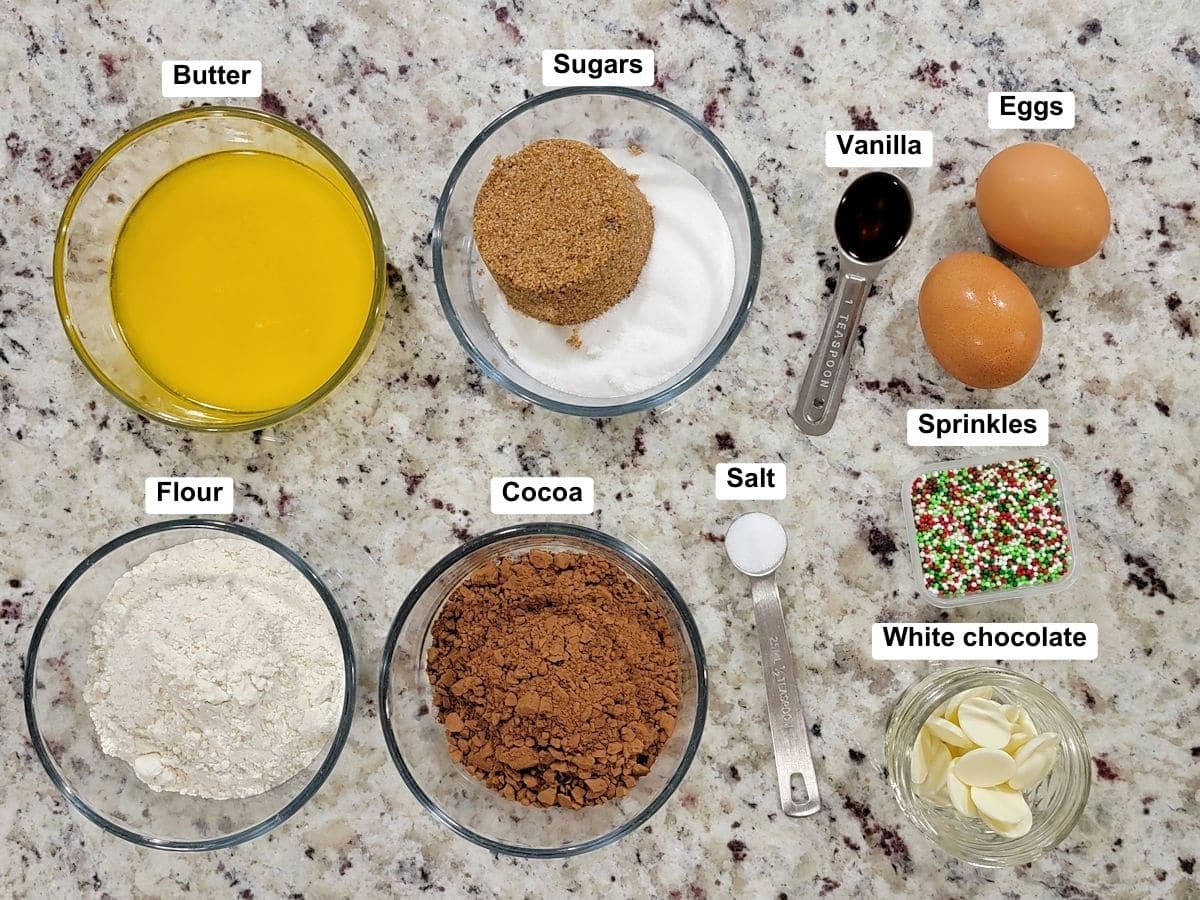 Ingredients on a counter top.