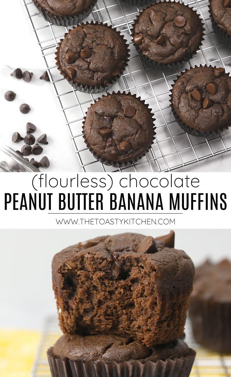 Chocolate peanut butter banana muffins recipe.