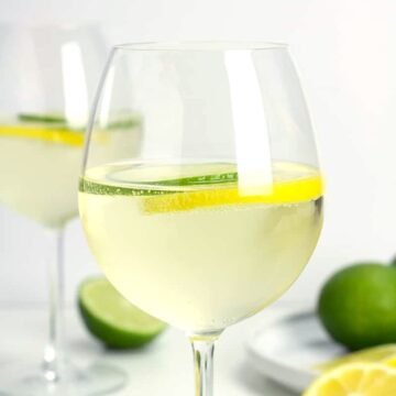 A wine glass filled with white wine with citrus slices.