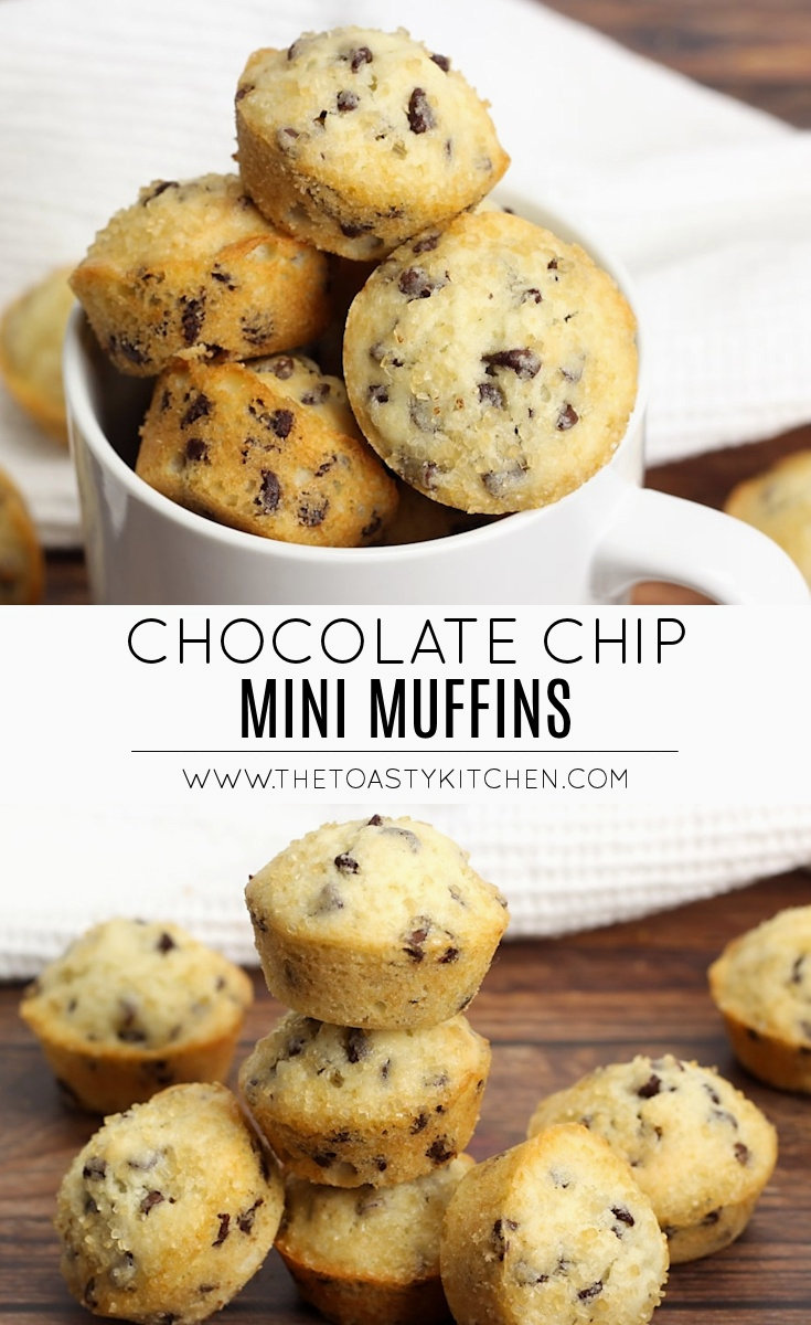 Chocolate Chip Mini Muffins by The Toasty Kitchen