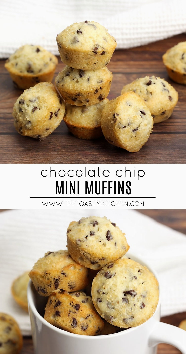 Chocolate Chip Mini Muffins by The Toasty Kitchen