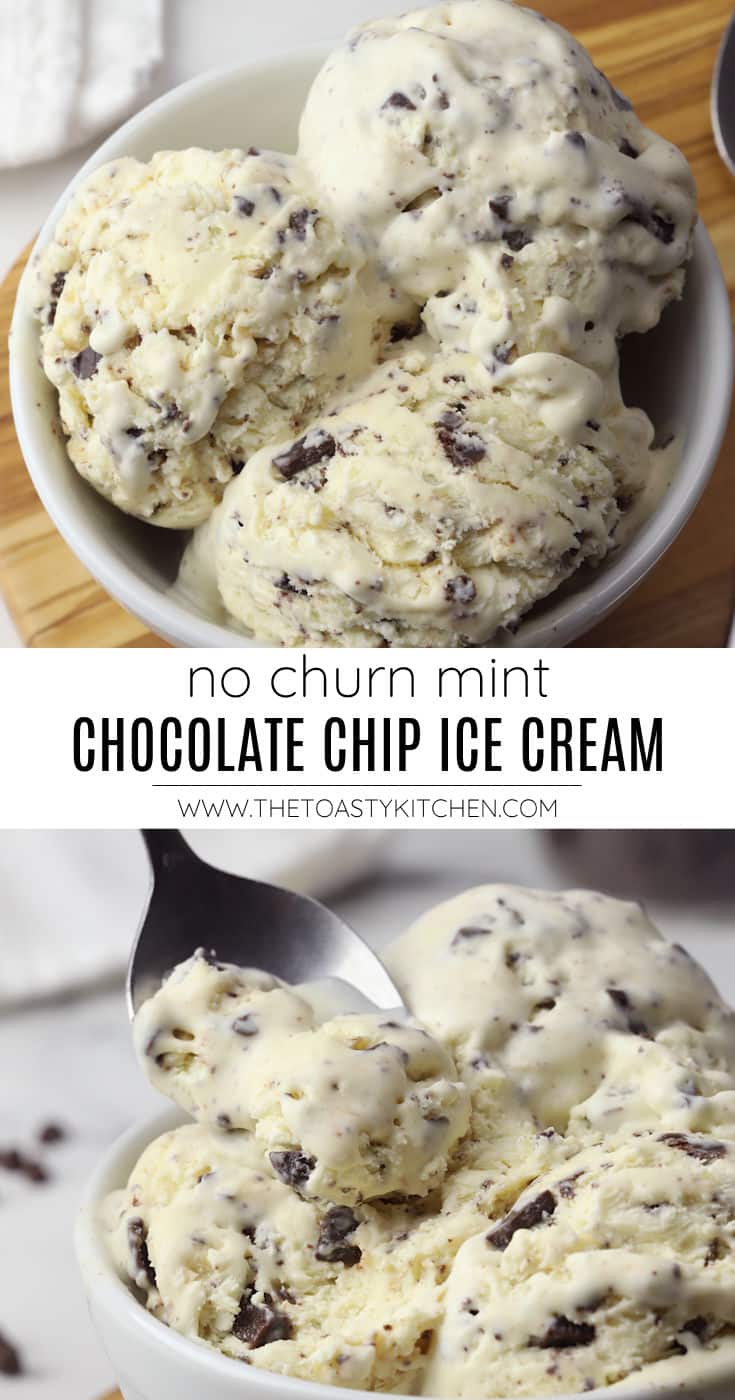 No churn mint chocolate chip ice cream recipe.