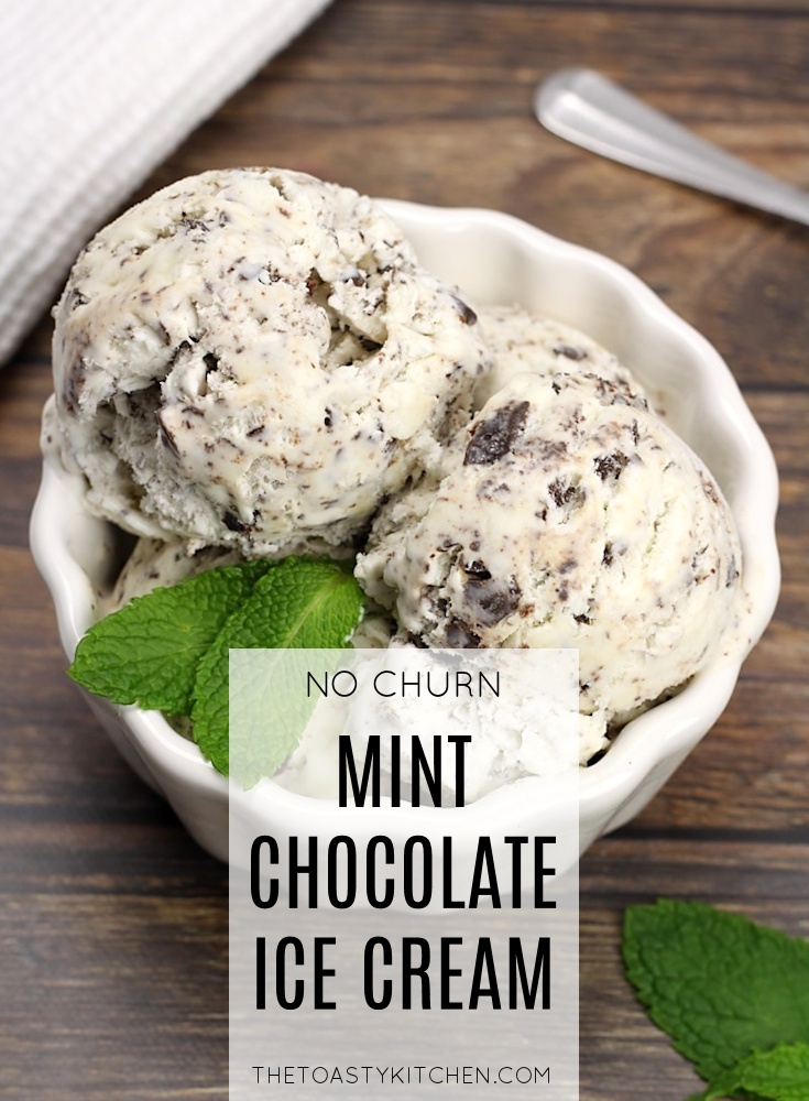 No Churn Mint Chocolate Chip Ice Cream by The Toasty Kitchen