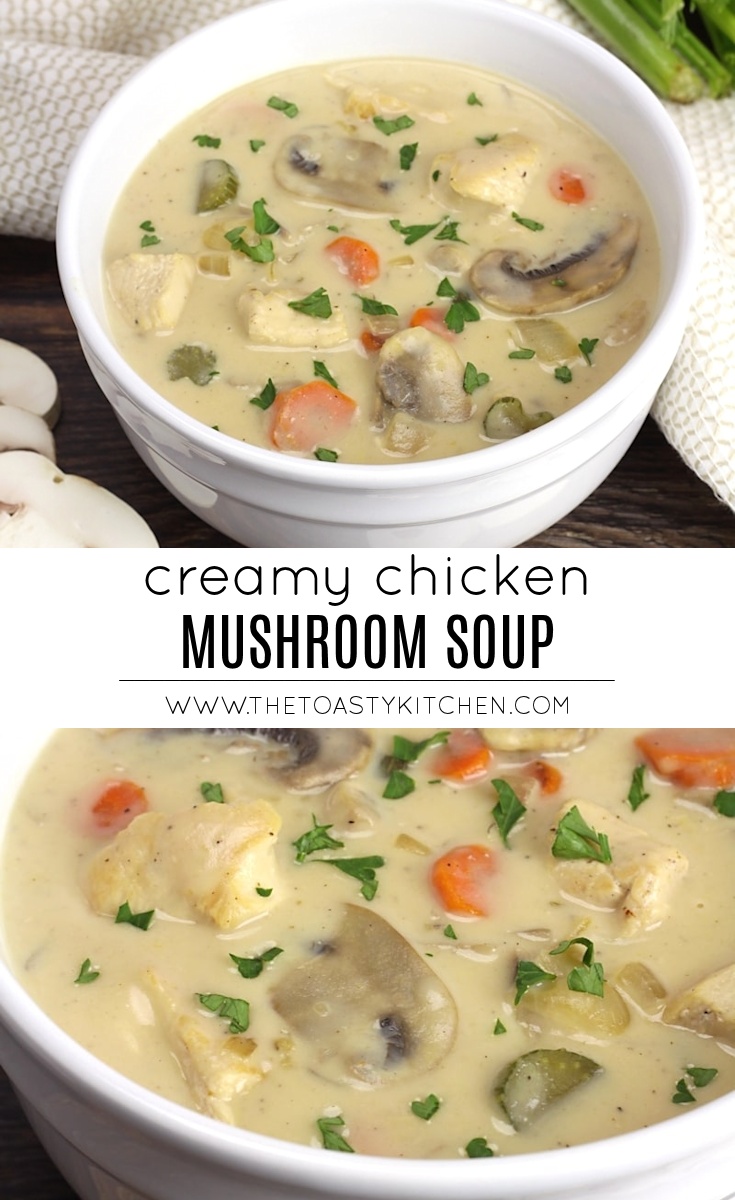 Creamy Chicken Mushroom Soup by The Toasty Kitchen