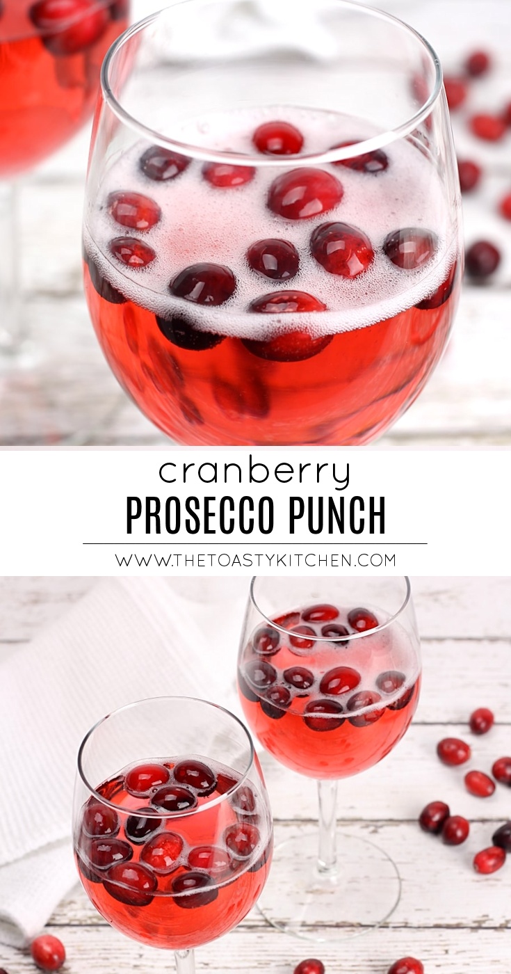 Cranberry Prosecco Punch by The Toasty Kitchen