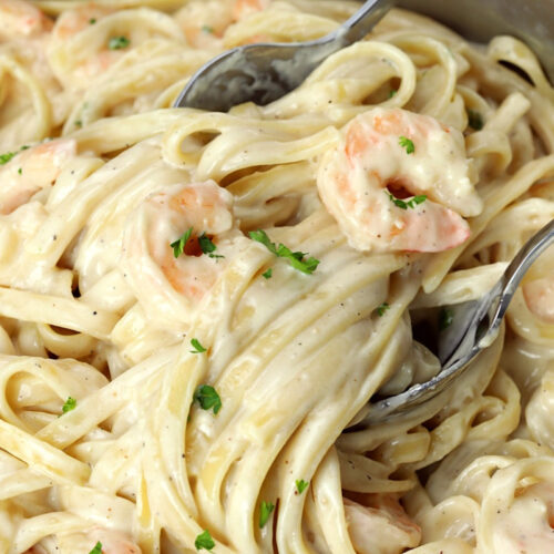 One Pan Shrimp Fettuccine Alfredo - The Toasty Kitchen