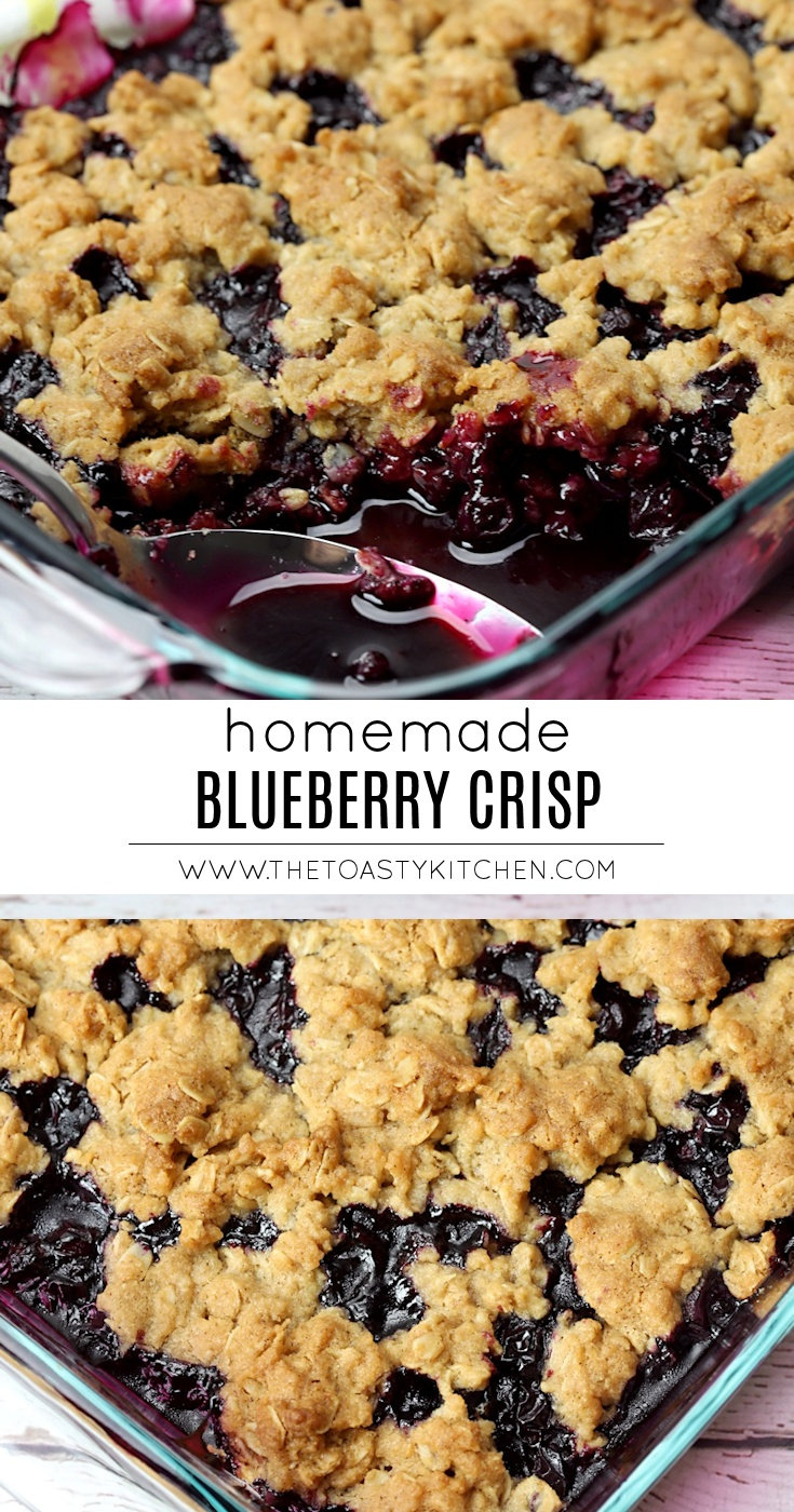 Blueberry Crisp by The Toasty Kitchen