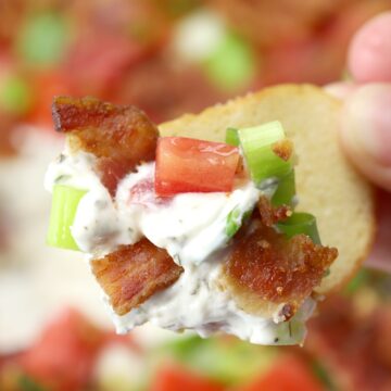 BLT dip on a bagel chip.