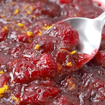 A spoon scooping cranberry sauce.