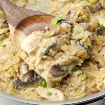 Orzo, chicken, and mushrooms in a creamy sauce.