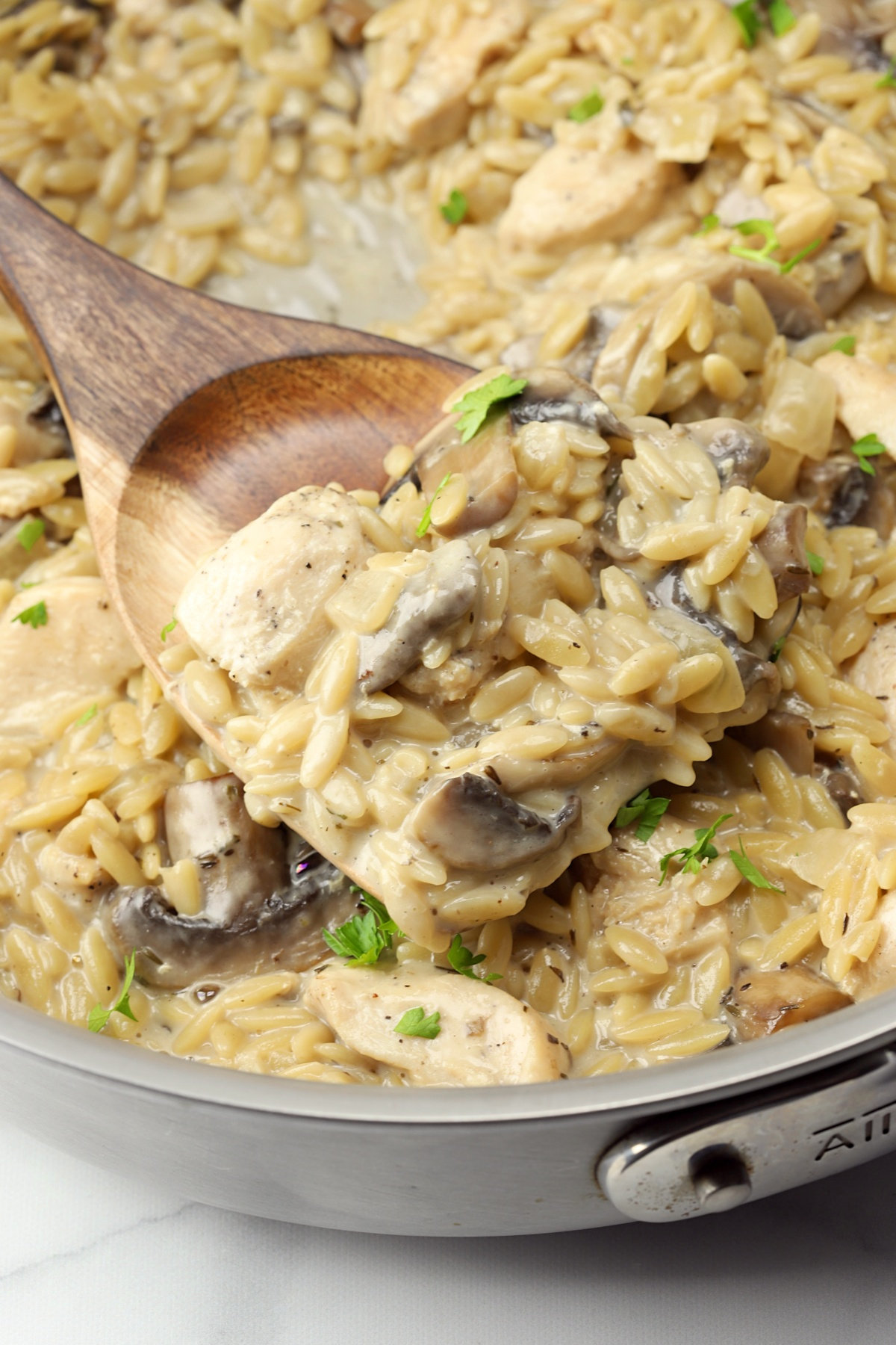 Orzo, chicken, and mushrooms in a creamy sauce.