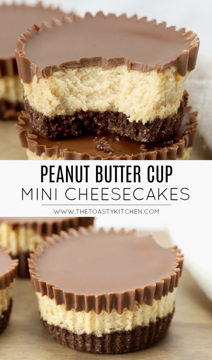 Mini Peanut Butter Cup Cheesecakes The Toasty Kitchen