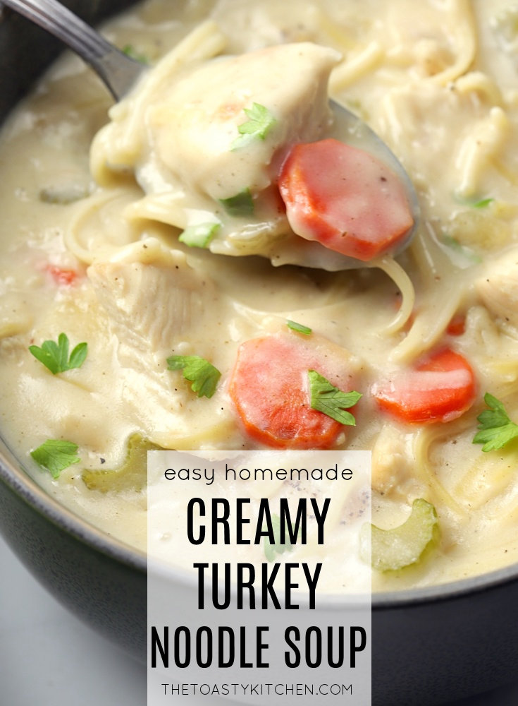 Creamy Turkey Noodle Soup by The Toasty Kitchen