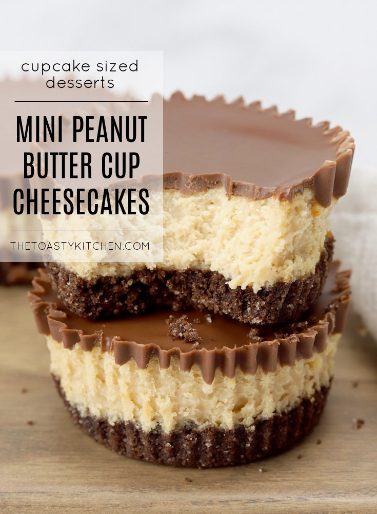 Mini Peanut Butter Cup Cheesecakes by The Toasty Kitchen