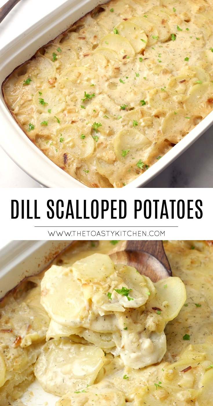 Dill Scalloped Potatoes by The Toasty Kitchen