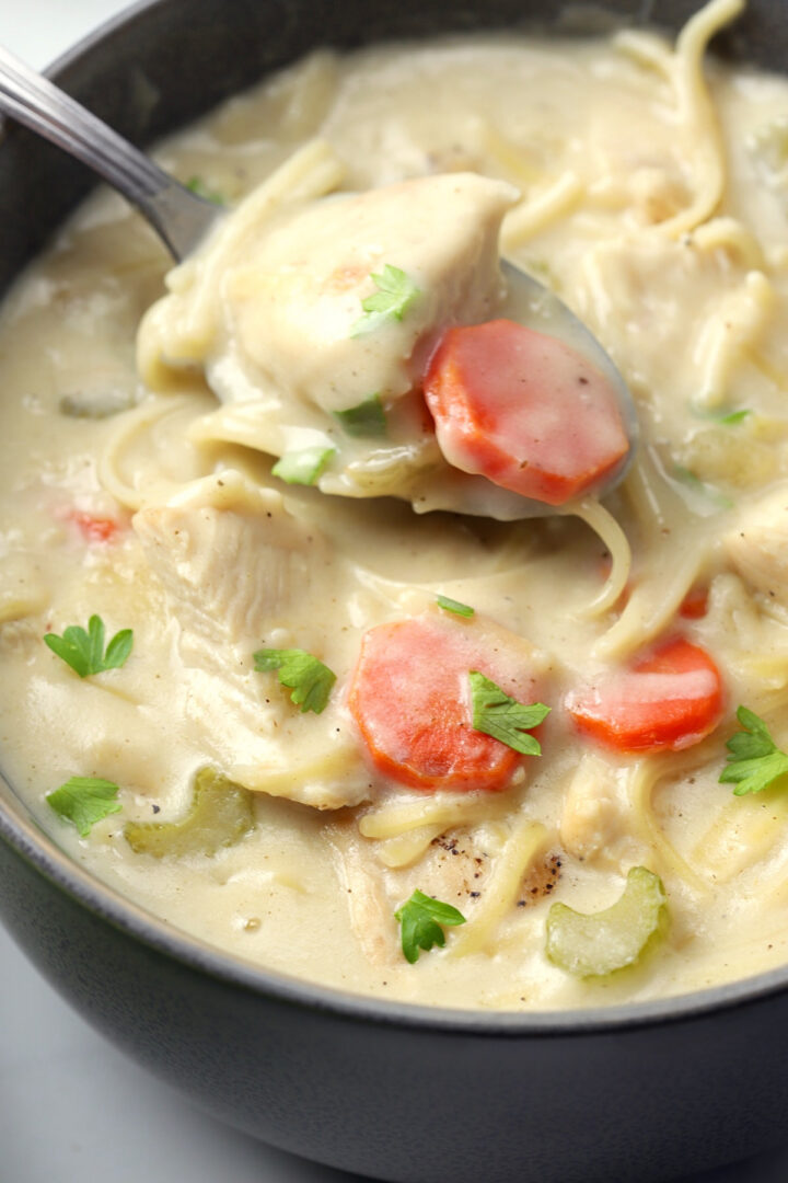 Creamy Turkey Noodle Soup - The Toasty Kitchen