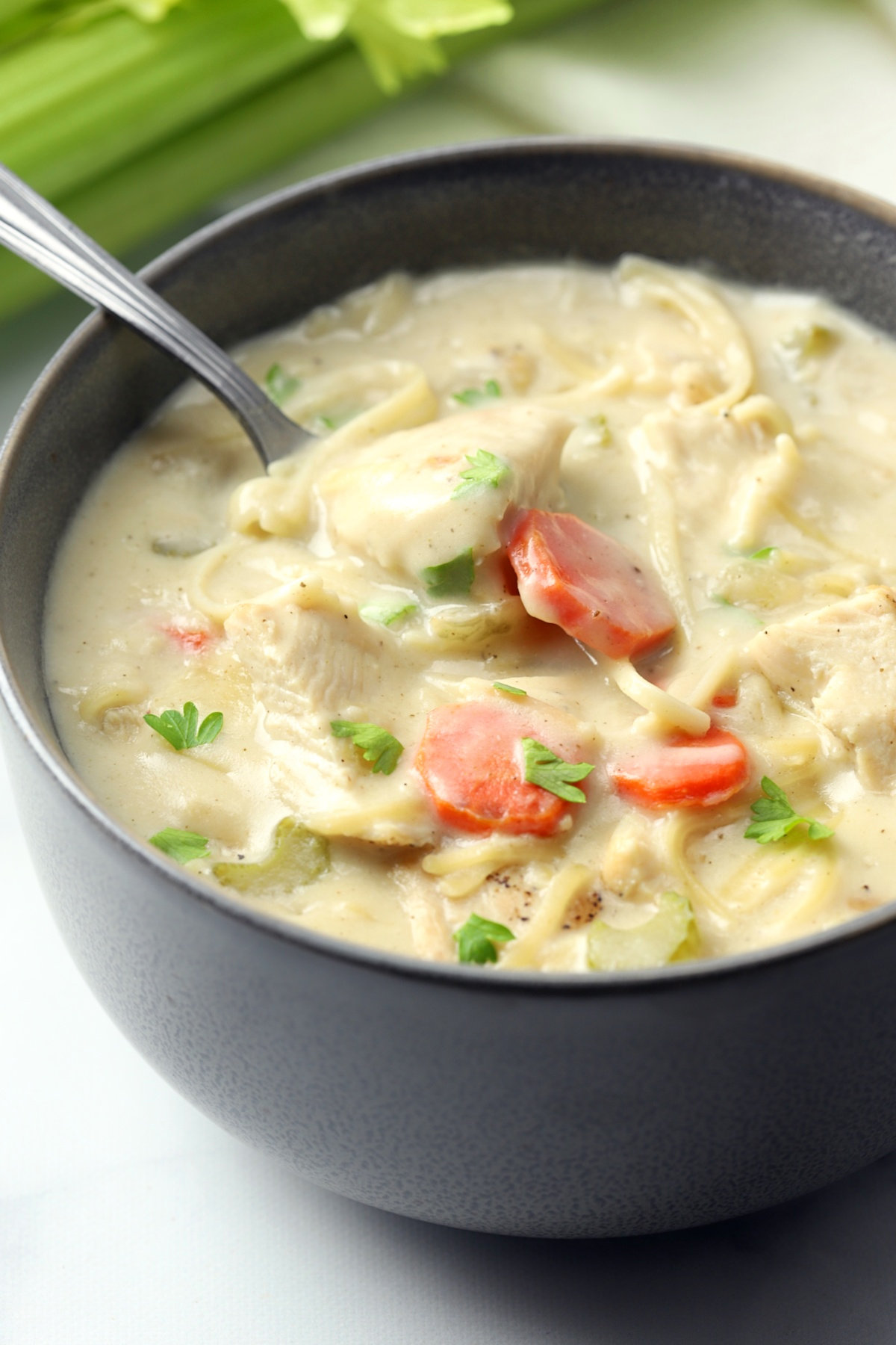 A dark bowl filled with turkey soup.