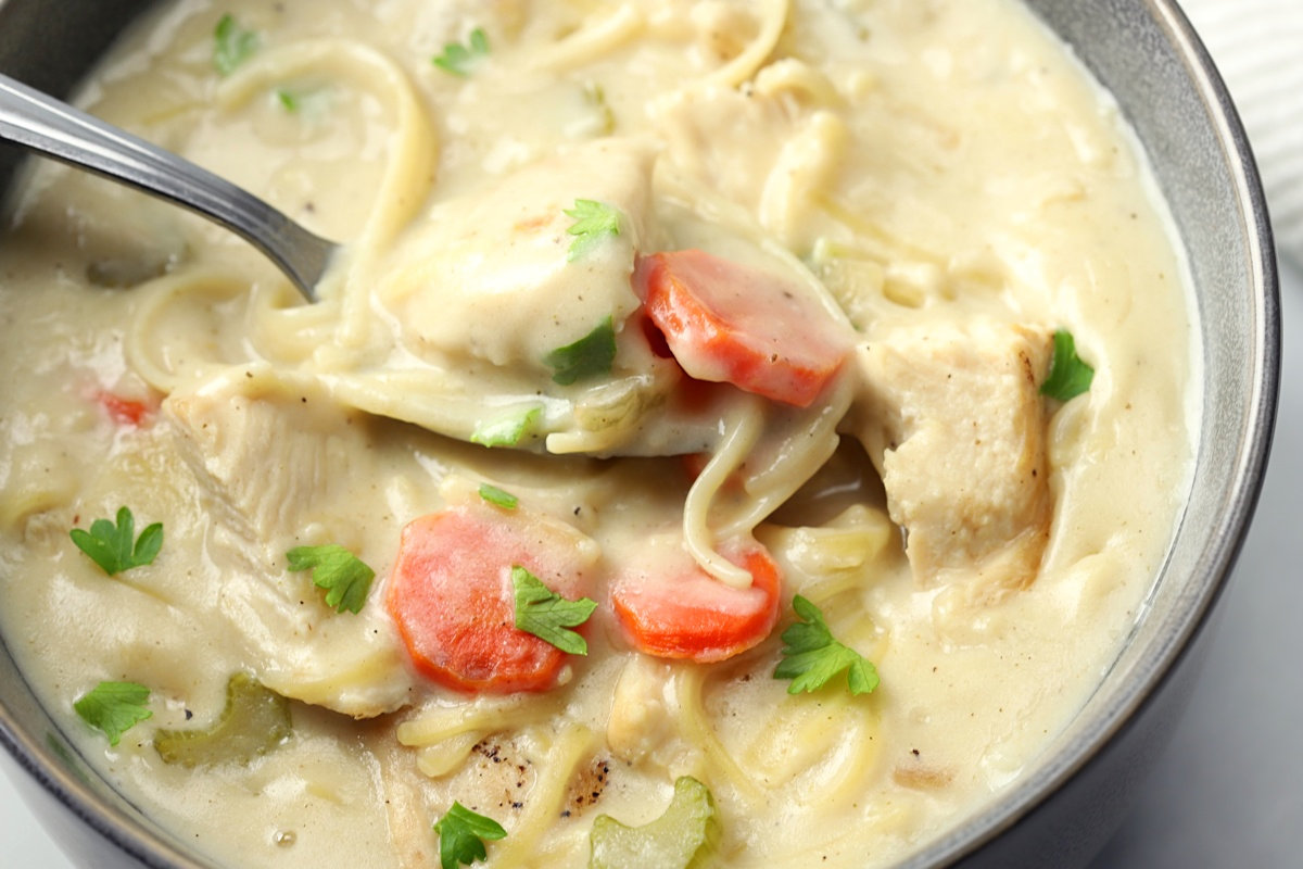 Creamy Turkey Noodle Soup - The Toasty Kitchen