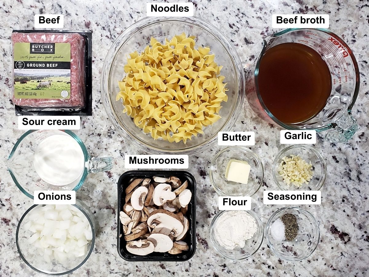 Ingredients to make beef stroganoff.