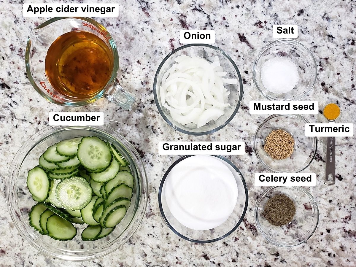 Ingredients on a counter top.