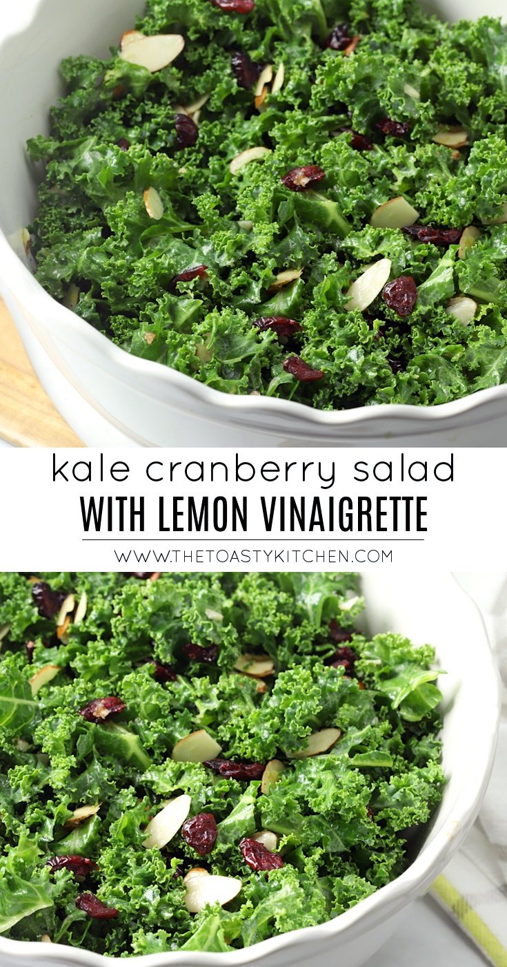 Kale Cranberry Salad with Lemon Vinaigrette by The Toasty Kitchen