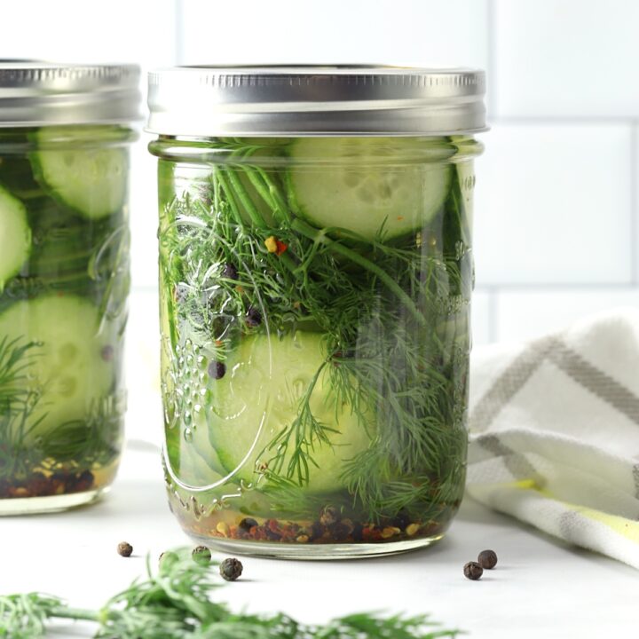 Spicy Dill Refrigerator Pickles The Toasty Kitchen