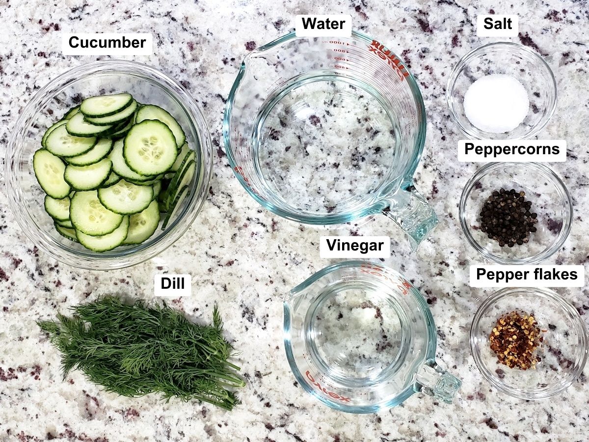 Ingredients to make homemade pickles on a counter top.