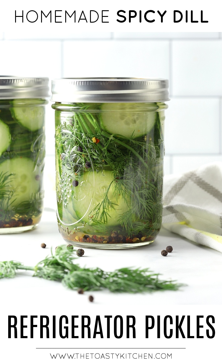 Spicy Dill Refrigerator Pickles by The Toasty Kitchen