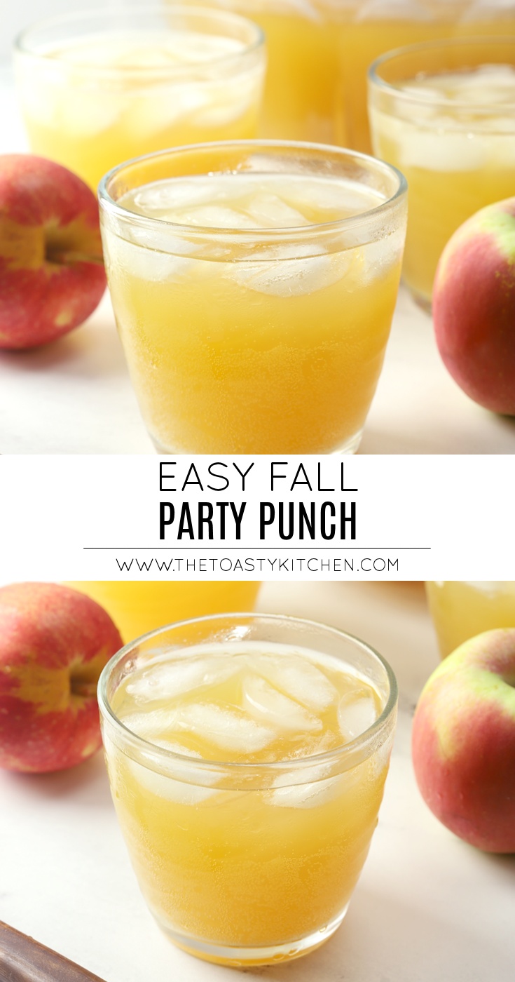 Fall Party Punch by The Toasty Kitchen