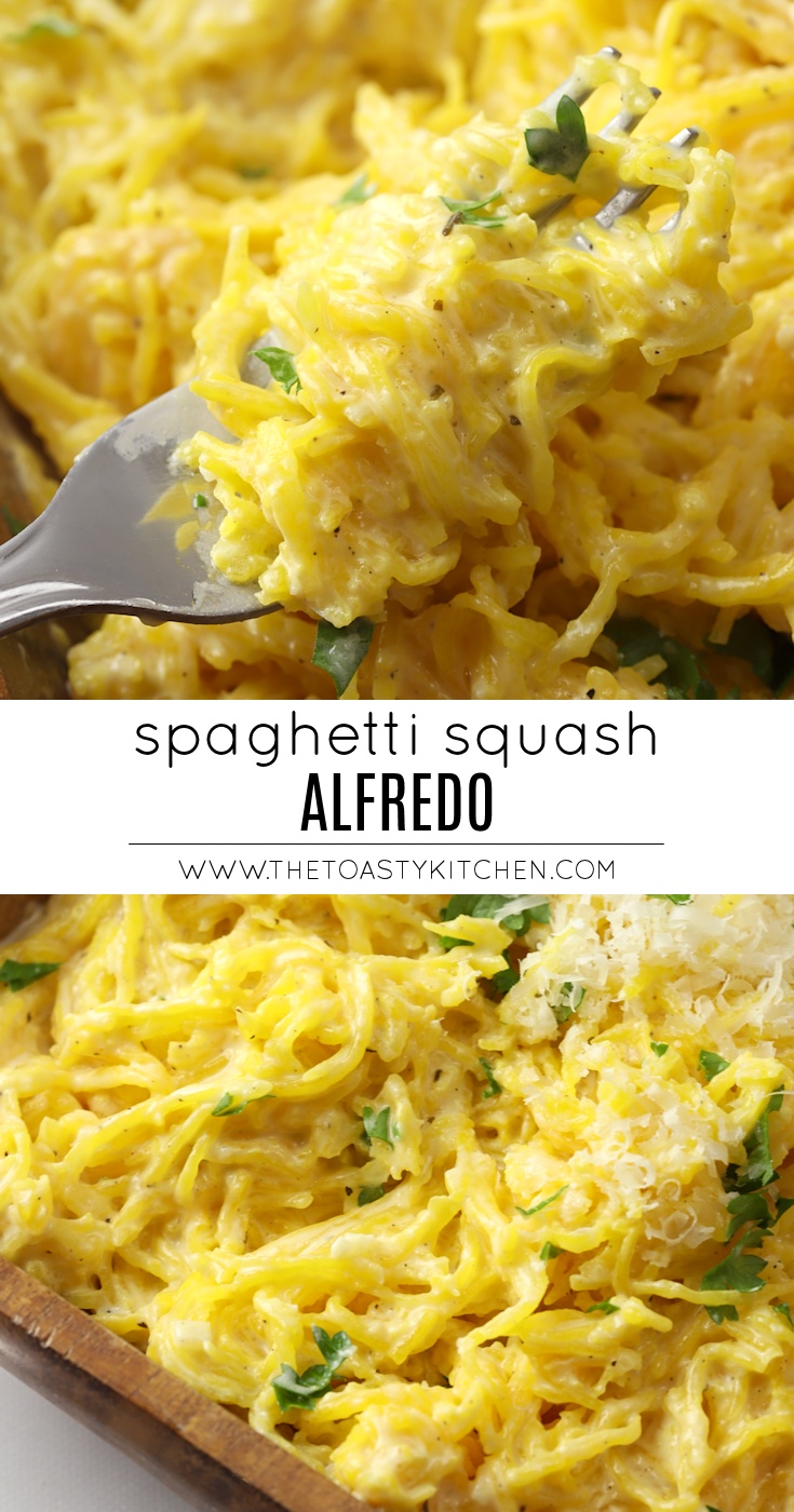 Spaghetti Squash Alfredo by The Toasty Kitchen