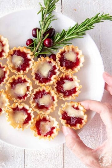 Tarts filled with cranberry sauce and brie on a white plate.