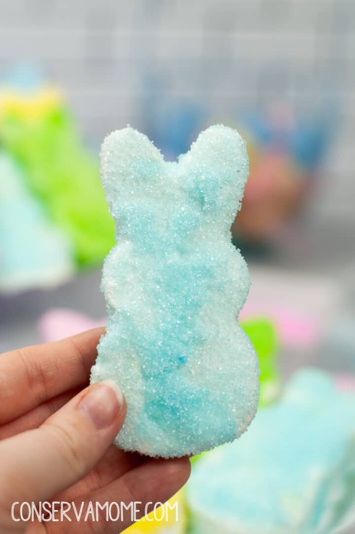 Hand holding a homemade blue bunny marshmallow.