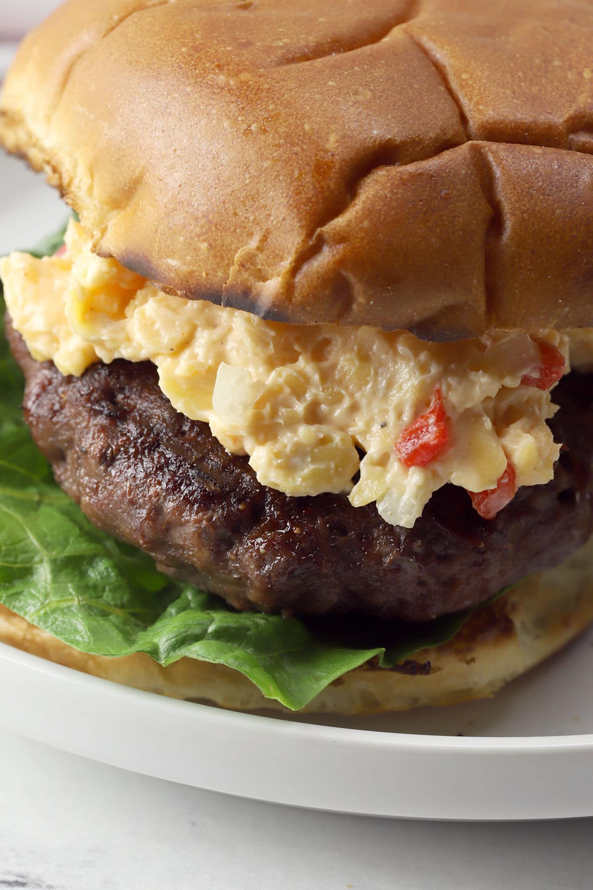 Close up of bison burger and creamy pimento cheese on a toasted bun.