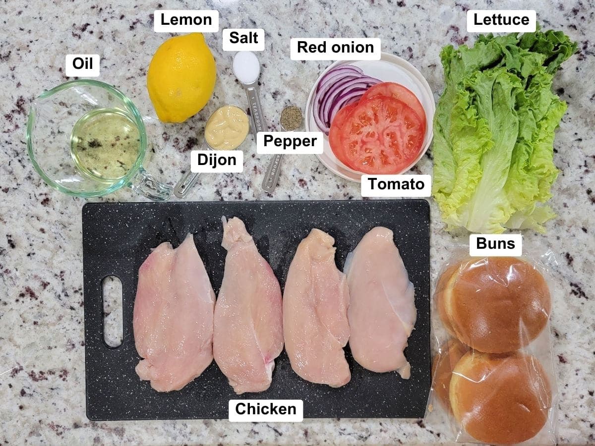 Ingredients on a counter top.