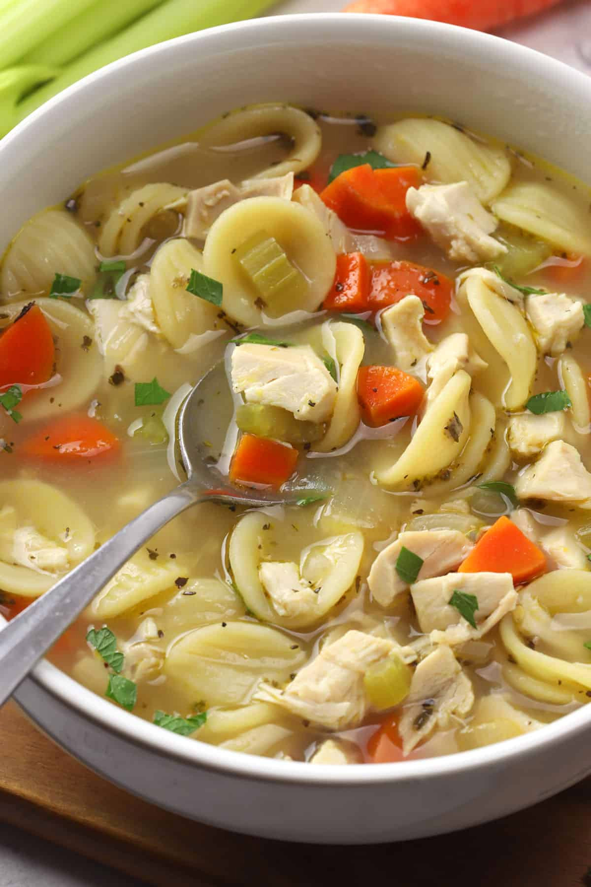 https://thetoastykitchen.com/wp-content/uploads/2022/08/rotisserie-chicken-noodle-soup-with-spoon.jpg