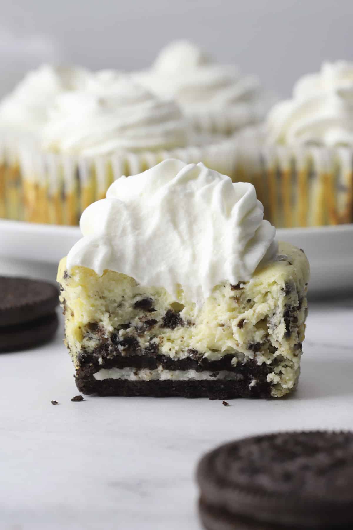 Mini oreo cheesecake with a bite missing.