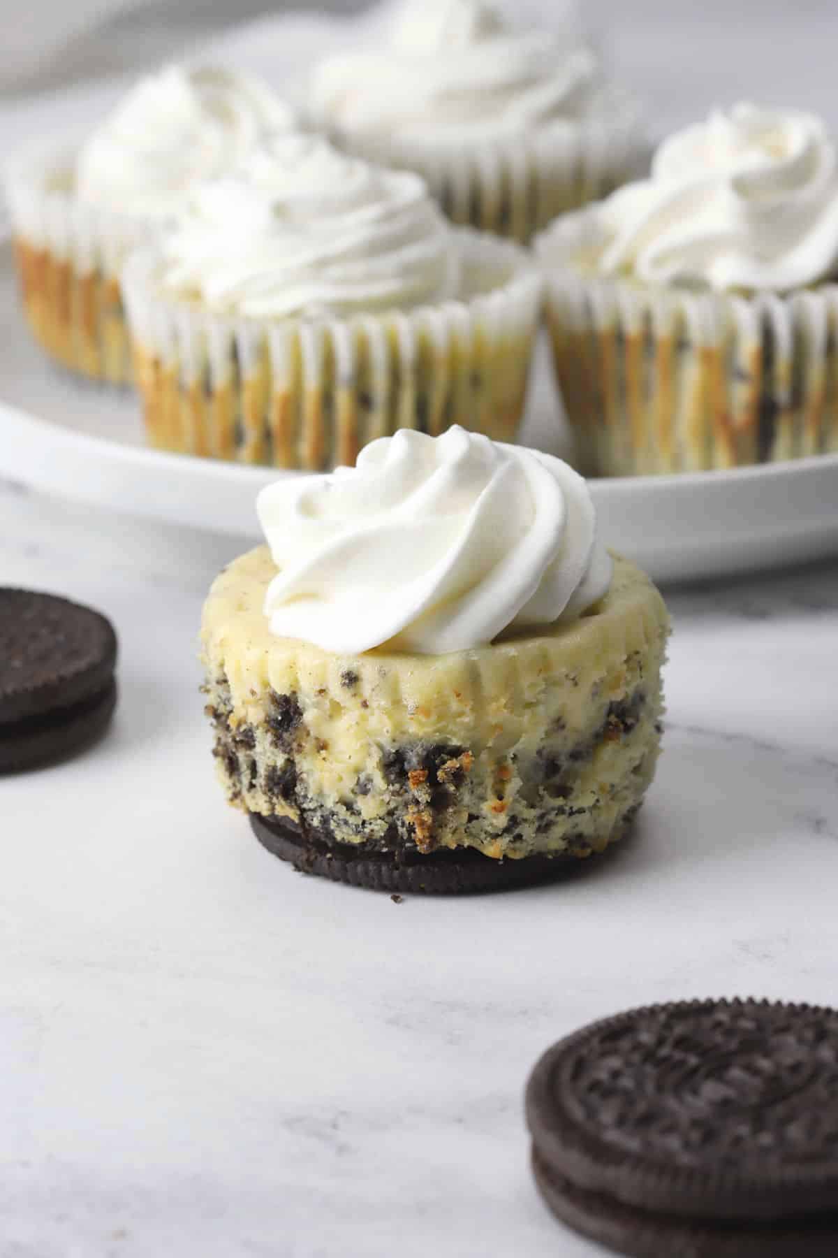 Mini oreo cheesecake topped with whipped cream.