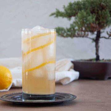 Highball glass filled with ice, a pale orange cocktail, and a long lemon peel garnish.