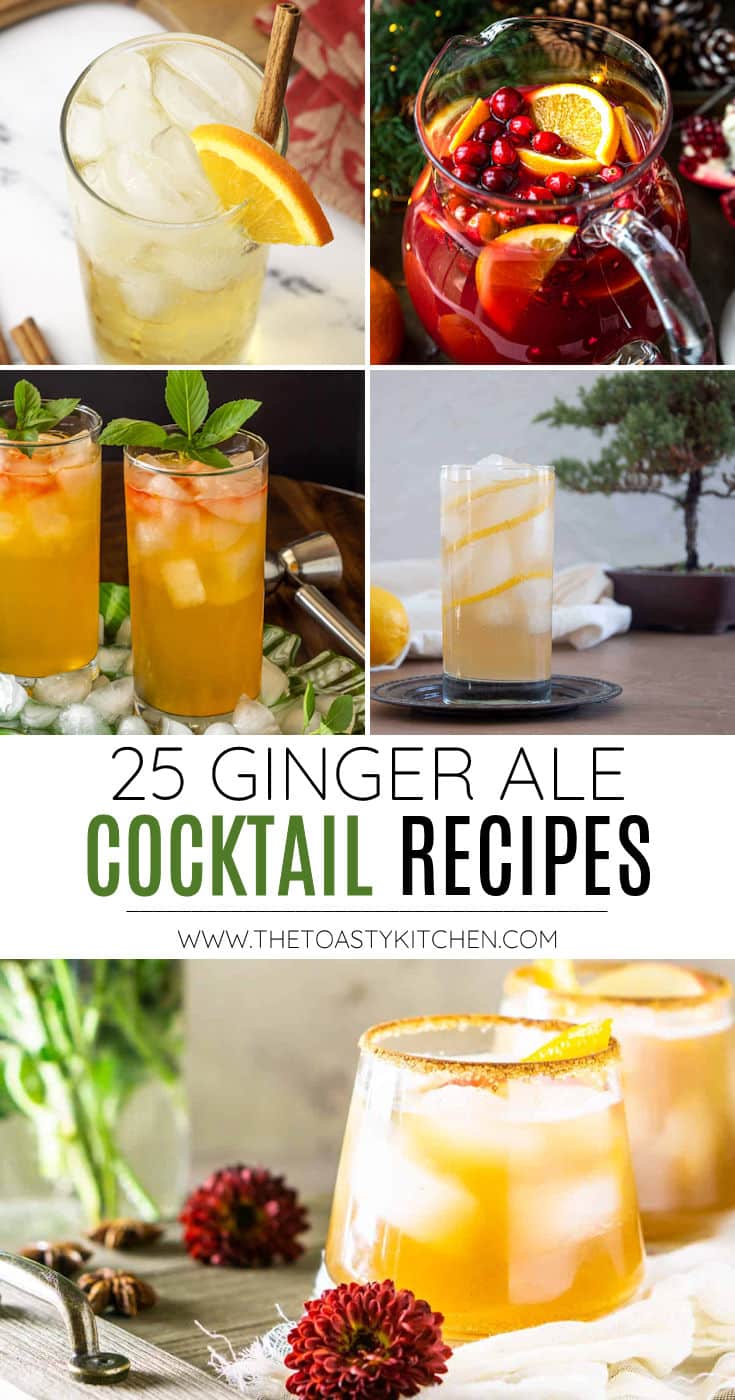 25 ginger ale cocktails recipe roundup.