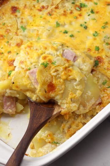 Potatoes Au Gratin with Ham - The Toasty Kitchen