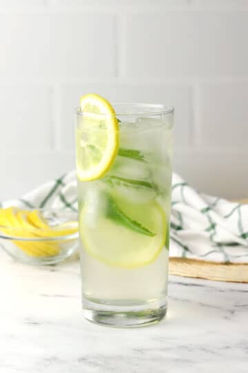 Lemon Mint Cooler - The Toasty Kitchen