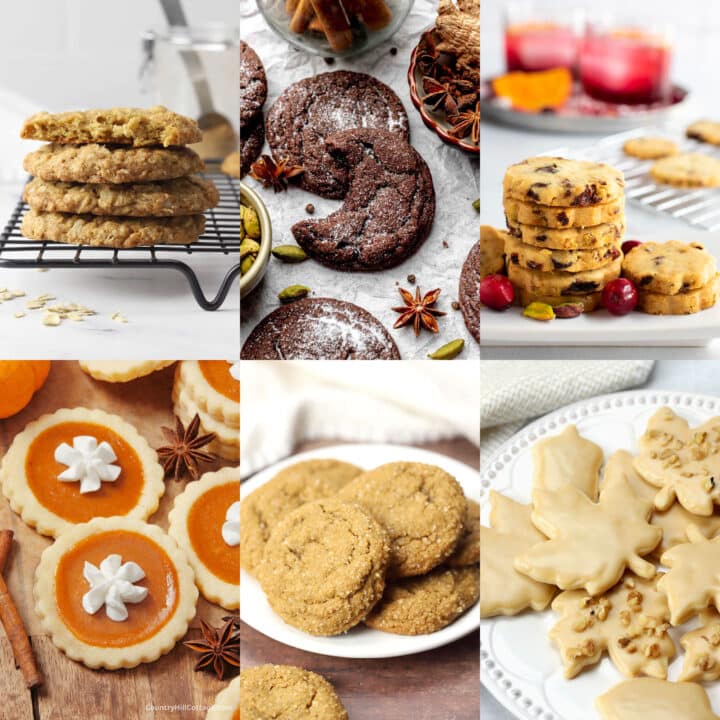 25 Cozy Fall Cookie Recipes - The Toasty Kitchen