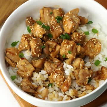 A bowl of teriyaki chicken and rice.