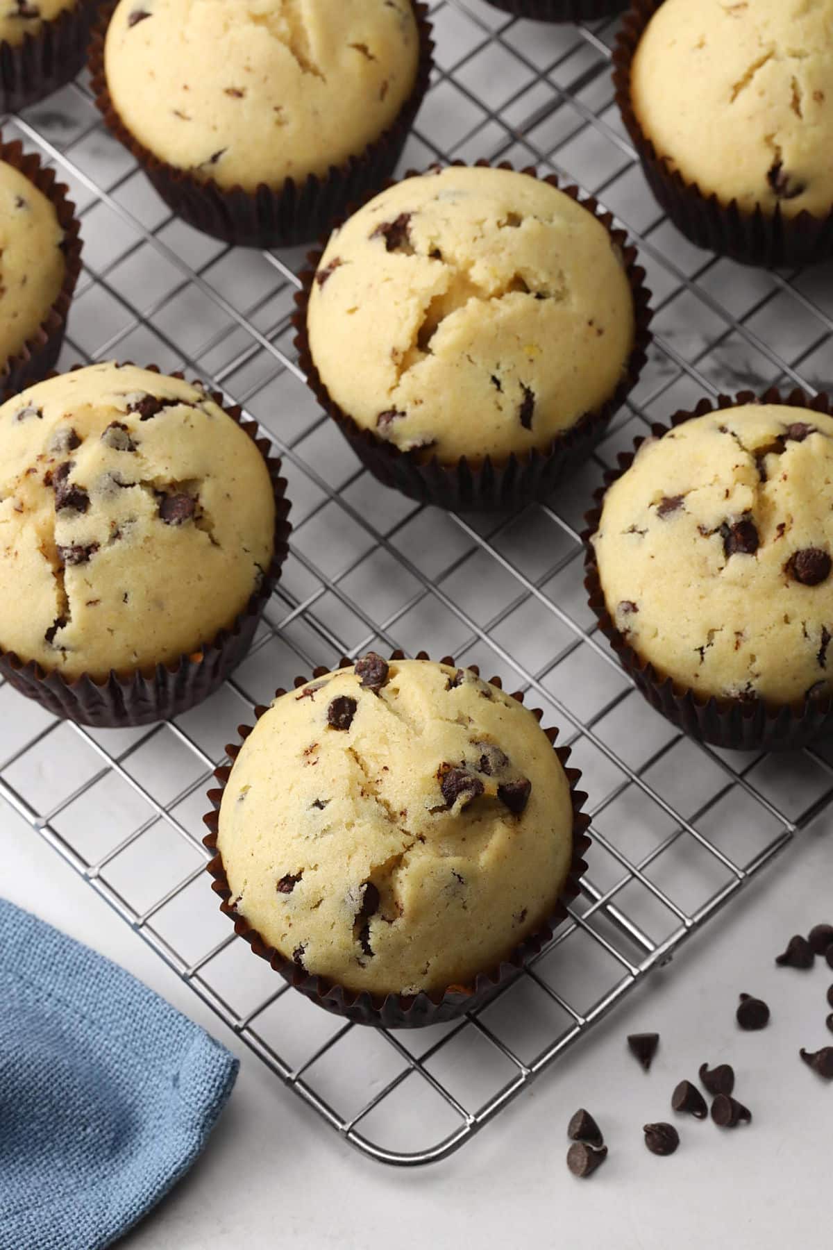 Chocolate chip muffins on a cooling rack.