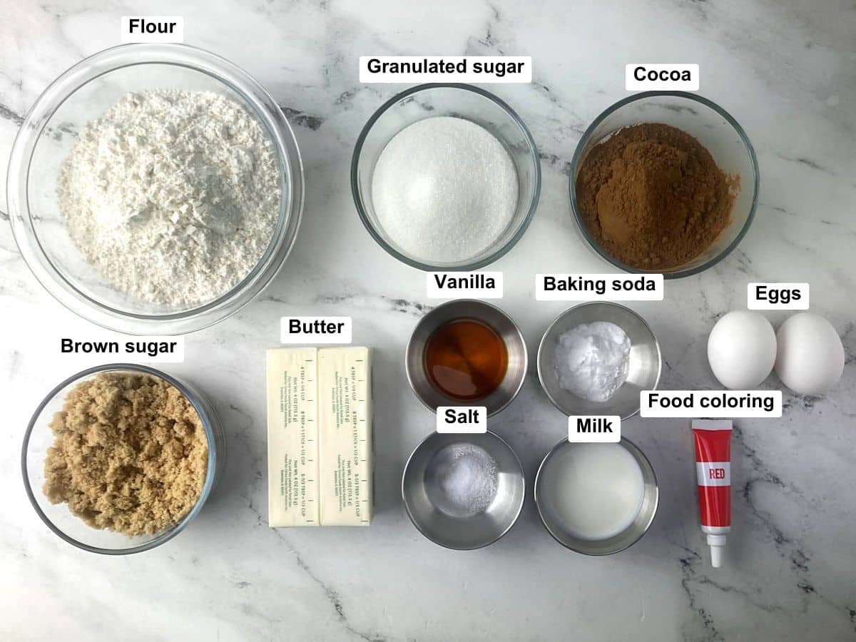 Ingredients on a counter top.