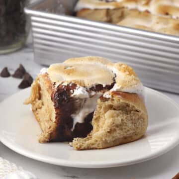 A cinnamon roll on a plate.