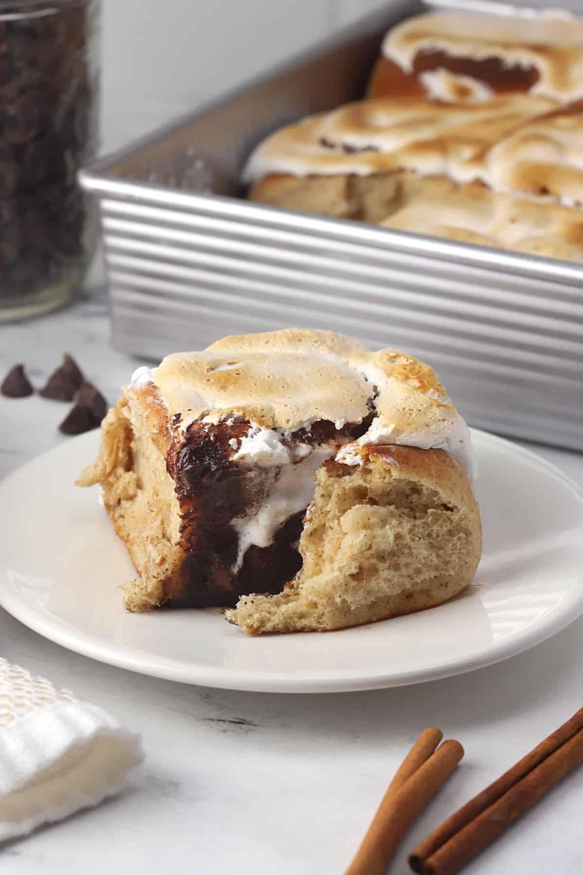 A cinnamon roll on a plate.