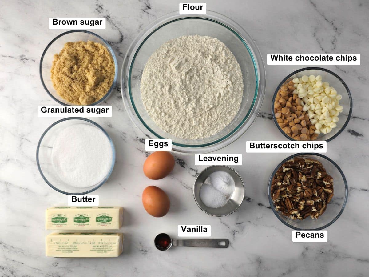 Ingredients on a counter top.