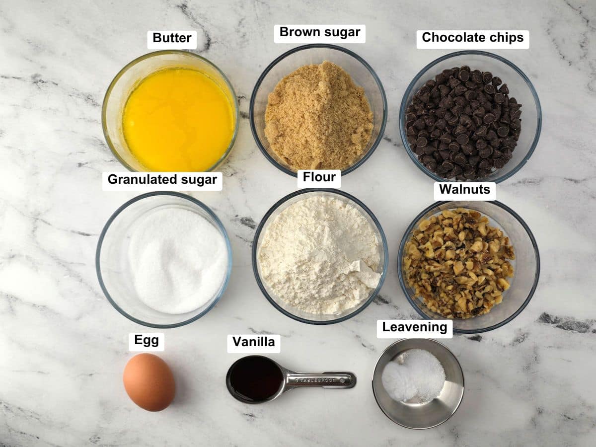 Ingredients on a counter top.